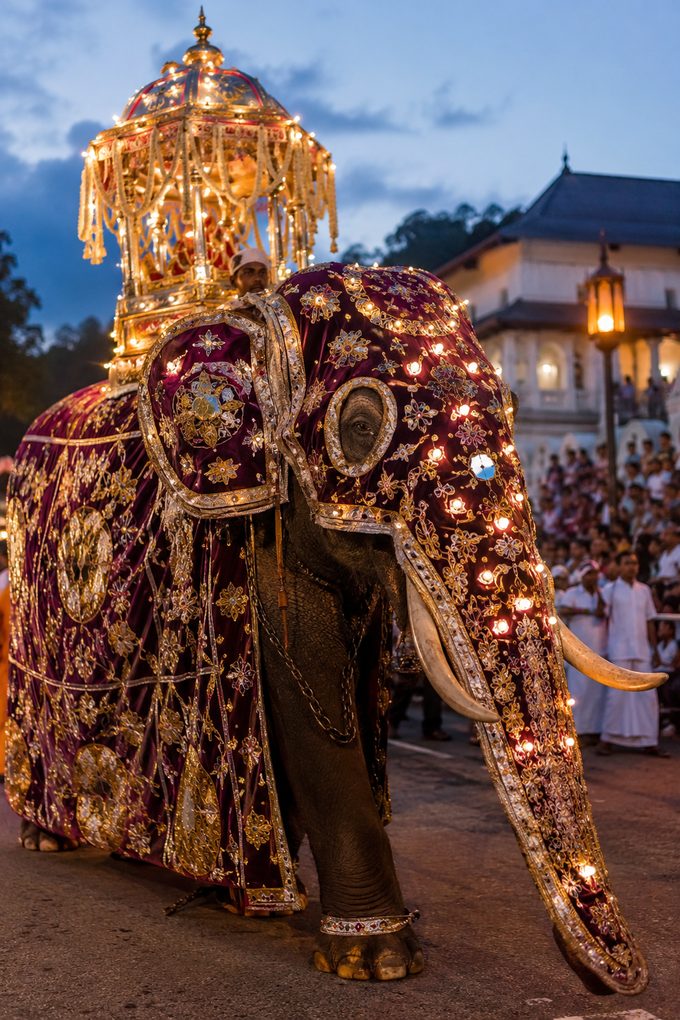 Kandy Perahera - Kandy